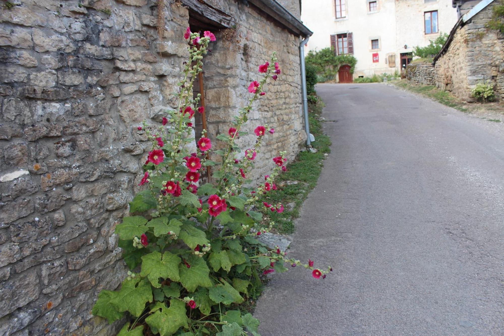 Chateauneuf Suites エクステリア 写真