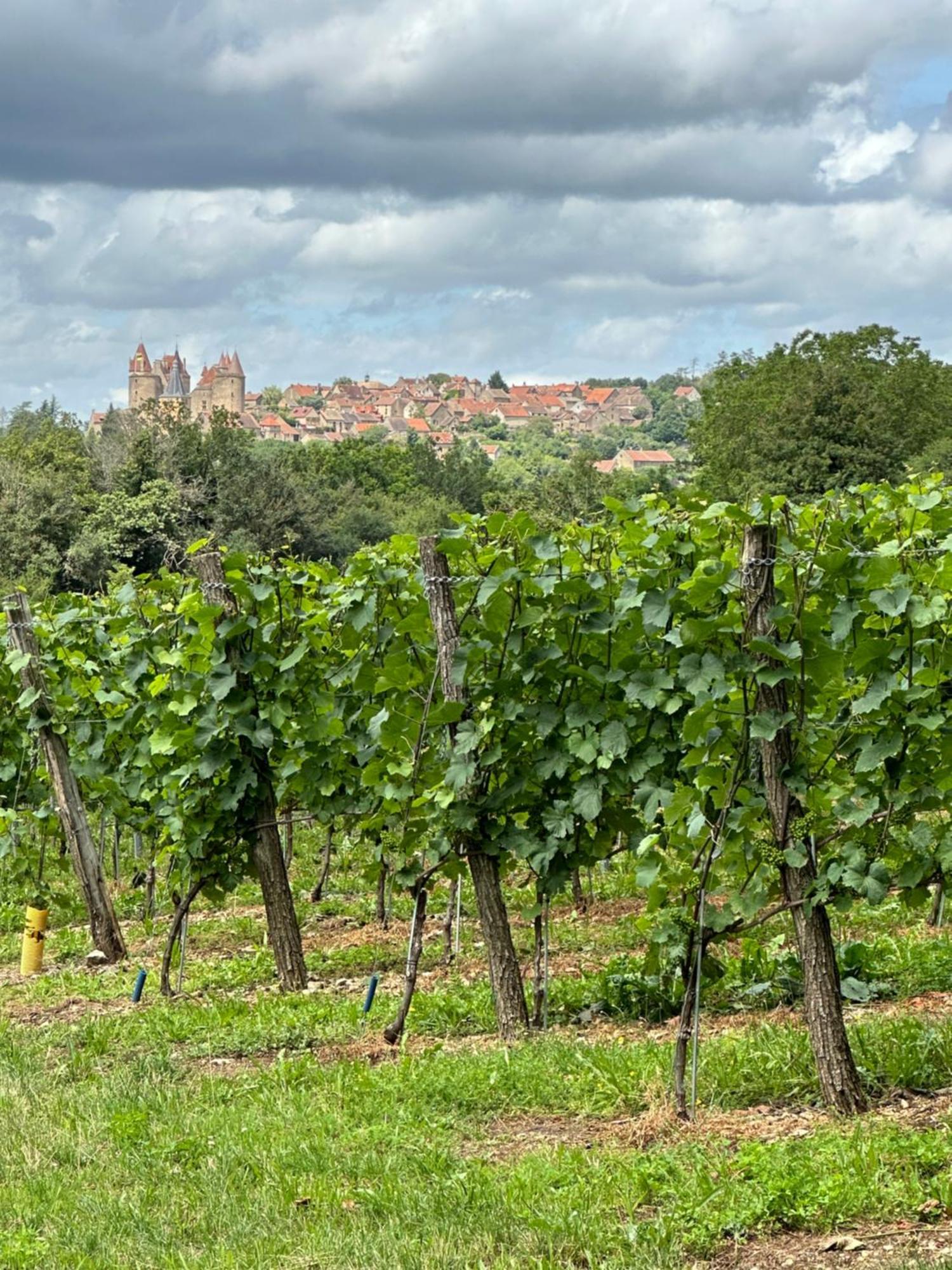 Chateauneuf Suites エクステリア 写真
