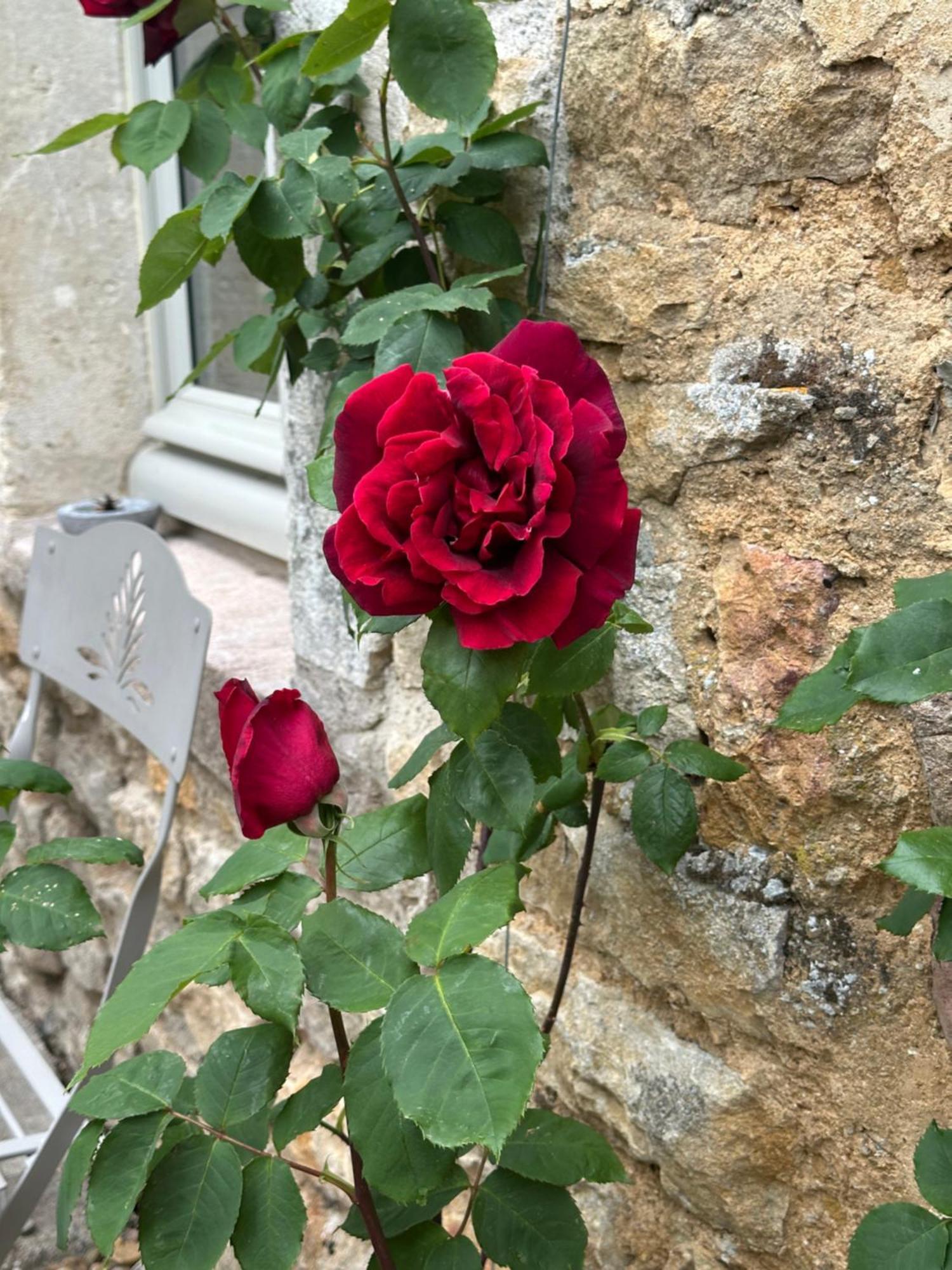 Chateauneuf Suites エクステリア 写真